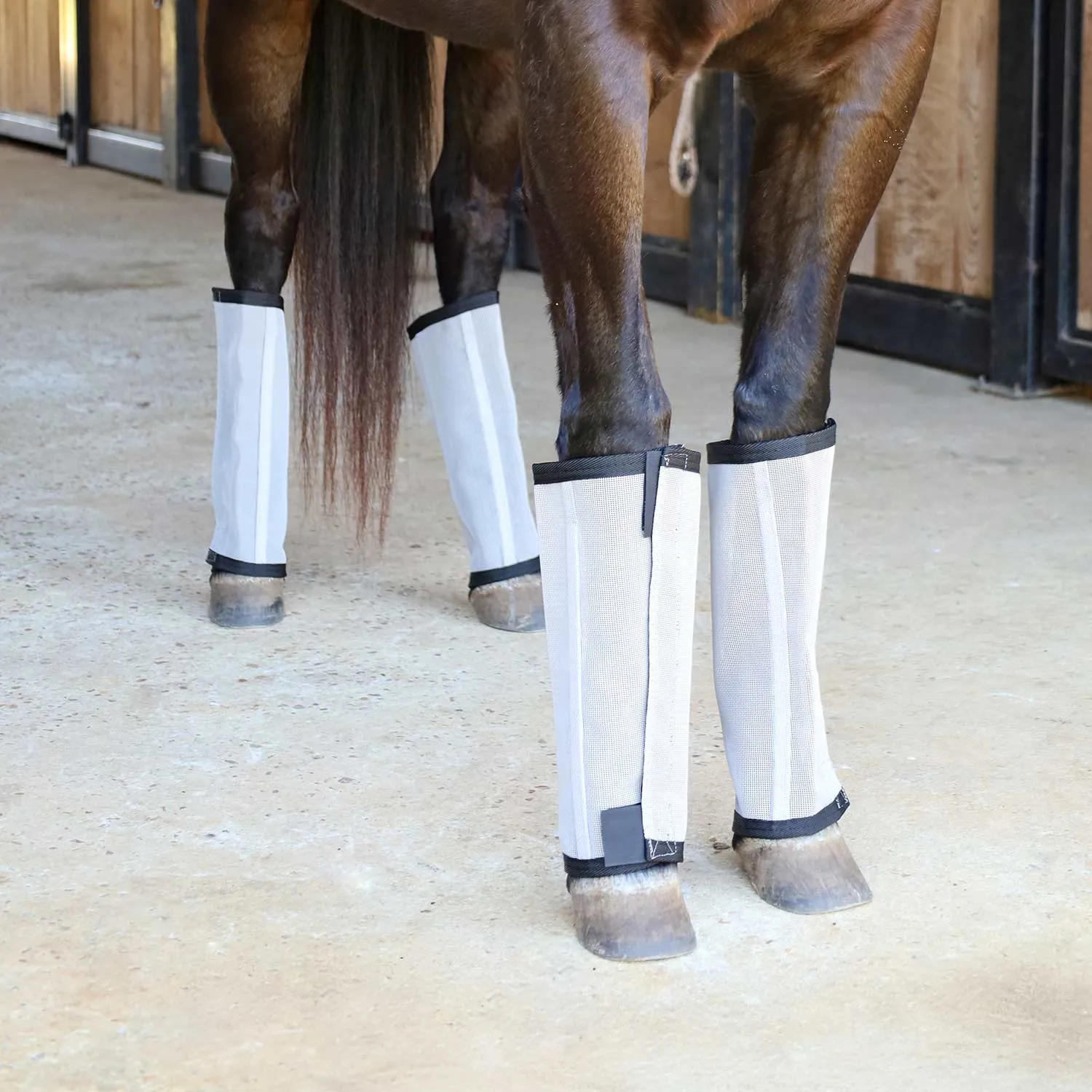 Jeffers Romper Stomper "Stomp-Free" Fly Boots, 4 pk