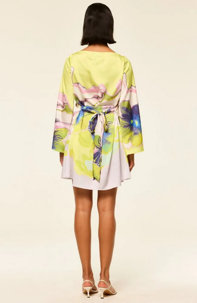 Twiggy Dress